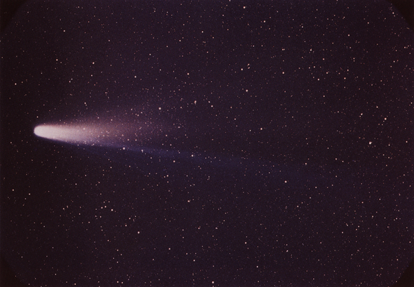 Comet Halley taken by Dr. William Liller with C7 telescope (235,951 bytes)