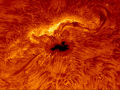 DayStar ATM 0.5Å bandpass filter image of Sunspot (79,972 bytes)