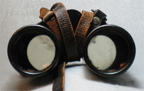 Leica binocular with mildew inside (53,541 bytes)