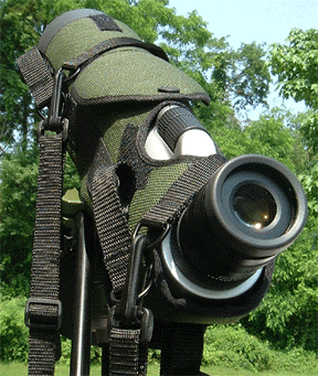 Rear View of Leica Angled Apo-Televid 77 Telescope in Field Case - ready for use (88569 bytes)