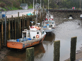 Halls Harbour Dock near low tide (60,739 bytes)