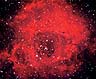 The Rosette Nebula by Philip Perkins
