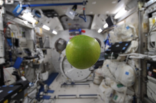 NASA image of Apple taken at ISS (67,699 bytes)