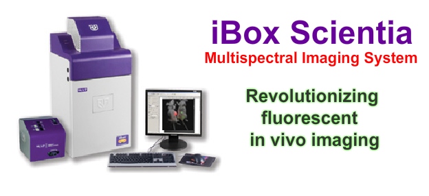 UVP iBox Scientia Imaging System (28,448 bytes)